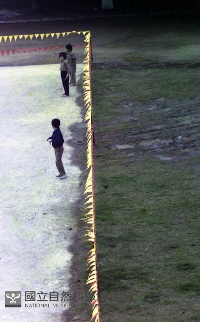 1950至2006年臺灣常民生活藏品圖，第1張
