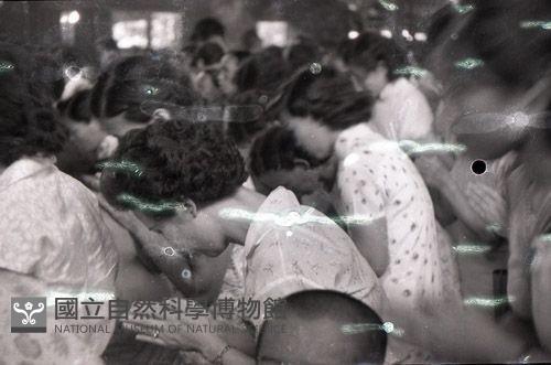 1950至2006年臺灣常民生活藏品圖，第1張