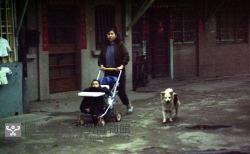 1950至2006年臺灣常民生活藏品圖，第1張