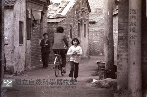 1950至2006年臺灣常民生活藏品圖，第1張