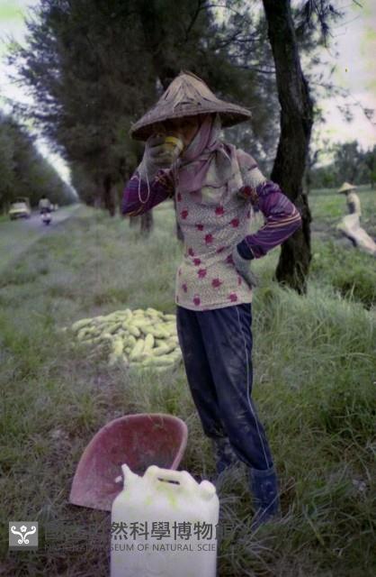 1950至2006年臺灣常民生活藏品圖，第1張