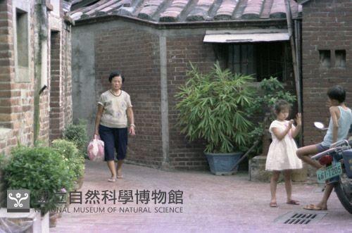 1950至2006年臺灣常民生活藏品圖，第1張