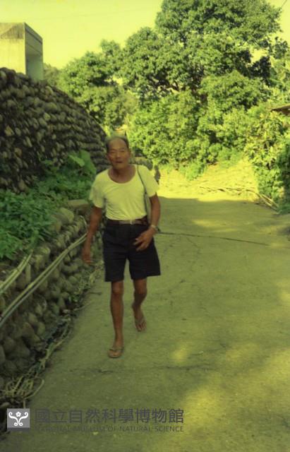 1950至2006年臺灣常民生活藏品圖，第1張
