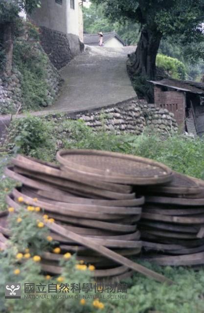 1950至2006年臺灣常民生活藏品圖，第1張