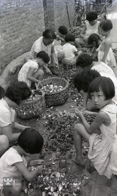 1950至2006年臺灣常民生活藏品圖，第1張