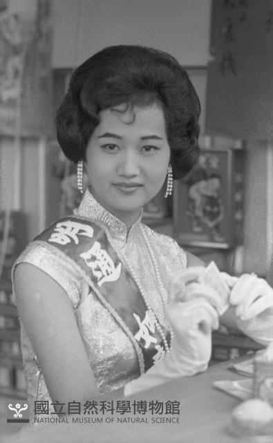 1950至2006年臺灣常民生活藏品圖，第1張