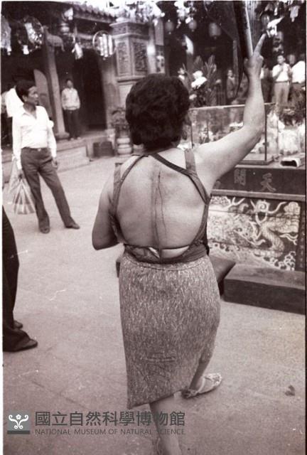 1950至2006年臺灣常民生活藏品圖，第1張