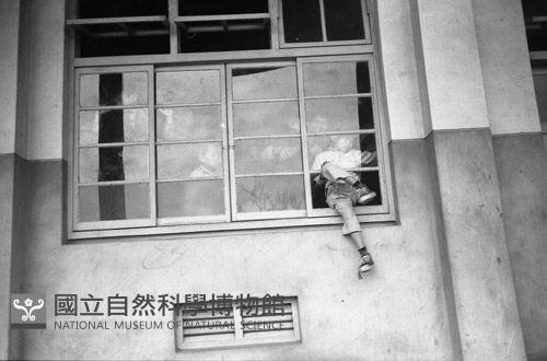 1950至2006年臺灣常民生活藏品圖，第1張