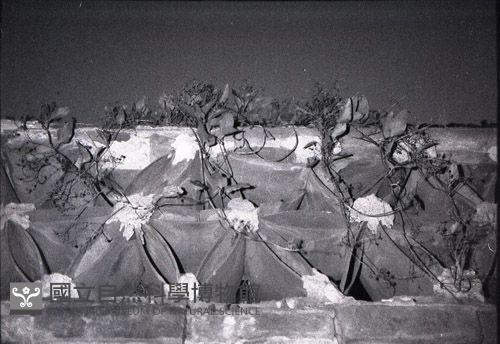 1950至2006年臺灣常民生活藏品圖，第1張