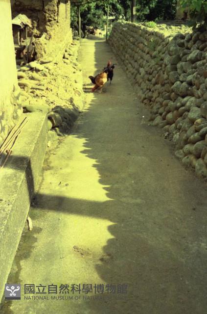 1950至2006年臺灣常民生活藏品圖，第1張