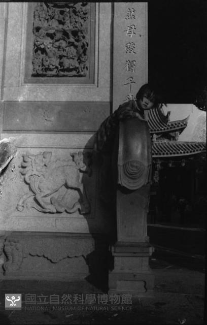 1950至2006年臺灣常民生活藏品圖，第1張