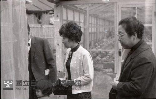 1950至2006年臺灣常民生活藏品圖，第1張