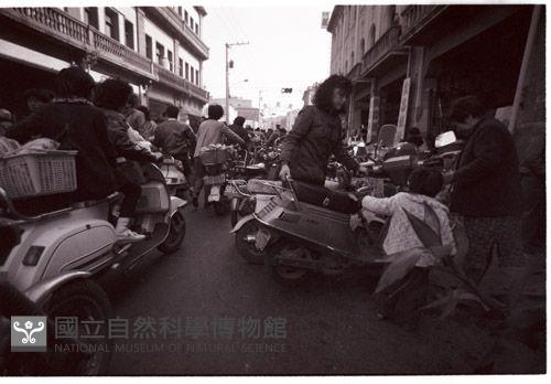 1950至2006年臺灣常民生活藏品圖，第1張