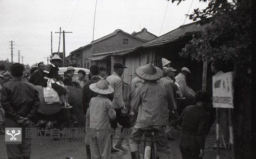 1950至2006年臺灣常民生活藏品圖，第1張