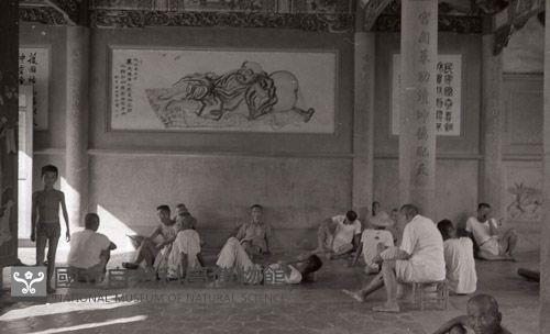 1950至2006年臺灣常民生活藏品圖，第1張