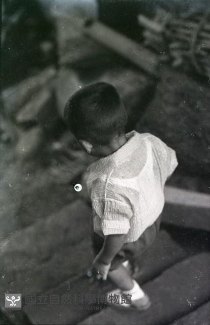 1950至2006年臺灣常民生活藏品圖，第1張