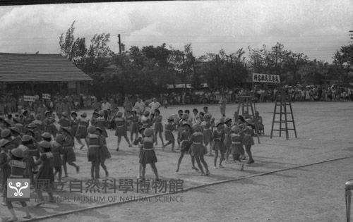 1950至2006年臺灣常民生活藏品圖，第1張