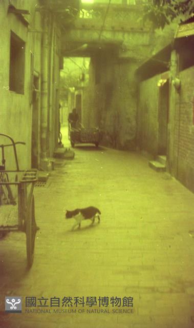 1950至2006年臺灣常民生活藏品圖，第1張