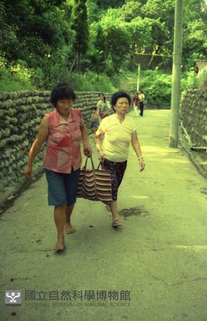 1950至2006年臺灣常民生活藏品圖，第1張
