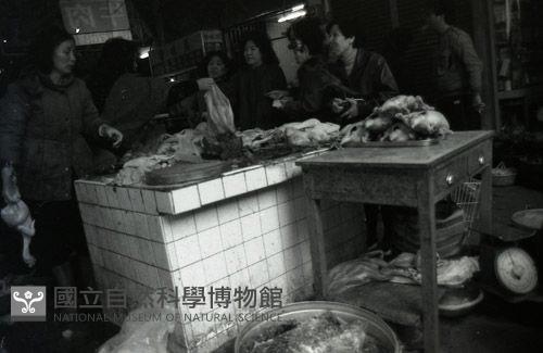 1950至2006年臺灣常民生活藏品圖，第1張