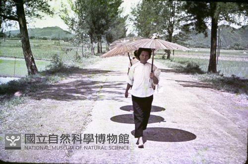 1950至2006年臺灣常民生活藏品圖，第1張