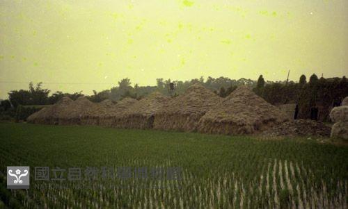 1950至2006年臺灣常民生活藏品圖，第1張