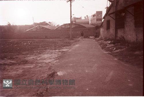 1950至2006年臺灣常民生活藏品圖，第1張