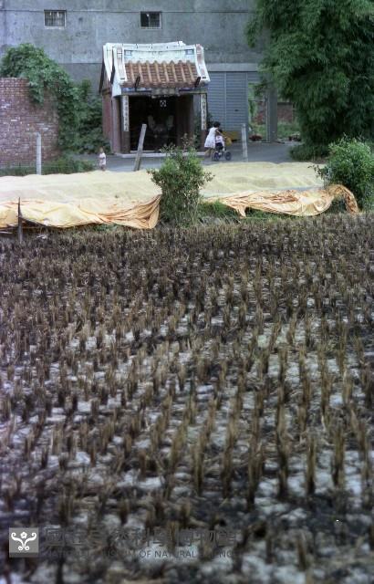1950至2006年臺灣常民生活藏品圖，第1張