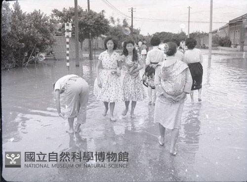 1950至2006年臺灣常民生活藏品圖，第1張