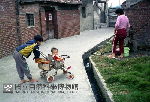 1950至2006年臺灣常民生活藏品圖，第1張