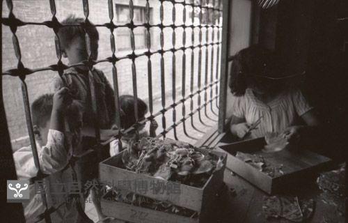 1950至2006年臺灣常民生活藏品圖，第1張