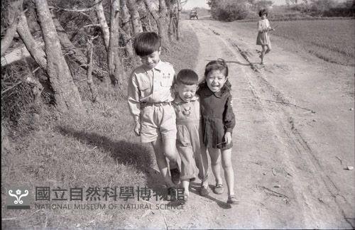 1950至2006年臺灣常民生活藏品圖，第1張