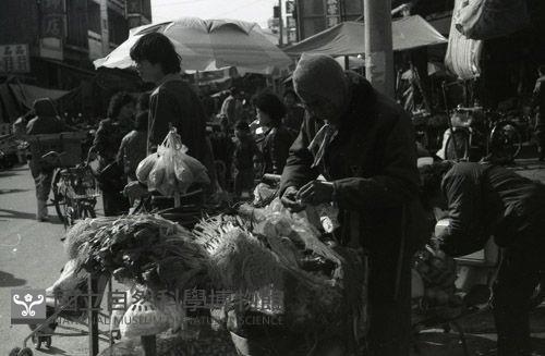 1950至2006年臺灣常民生活藏品圖，第1張