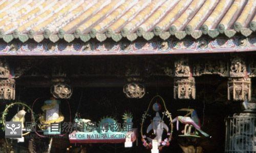 1950至2006年臺灣常民生活藏品圖，第1張