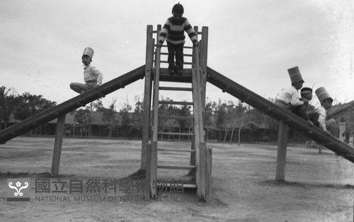 1950至2006年臺灣常民生活藏品圖，第1張