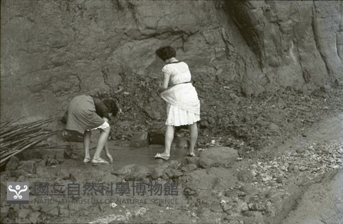 1950至2006年臺灣常民生活藏品圖，第1張