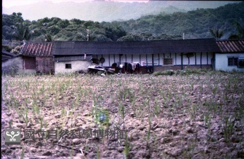 1950至2006年臺灣常民生活藏品圖，第1張