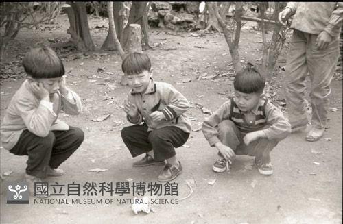 1950至2006年臺灣常民生活藏品圖，第1張