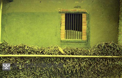 1950至2006年臺灣常民生活藏品圖，第1張
