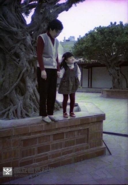 1950至2006年臺灣常民生活藏品圖，第1張