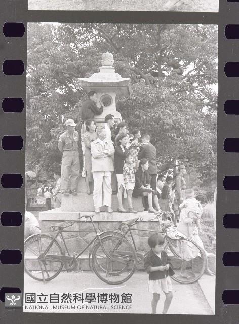 1950至2006年臺灣常民生活藏品圖，第1張
