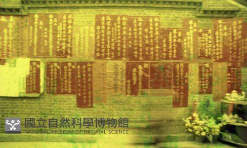 1950至2006年臺灣常民生活藏品圖，第1張