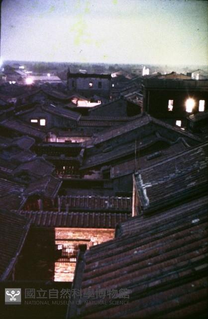 1950至2006年臺灣常民生活藏品圖，第1張
