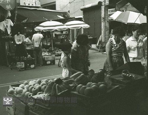 1950至2006年臺灣常民生活藏品圖，第1張