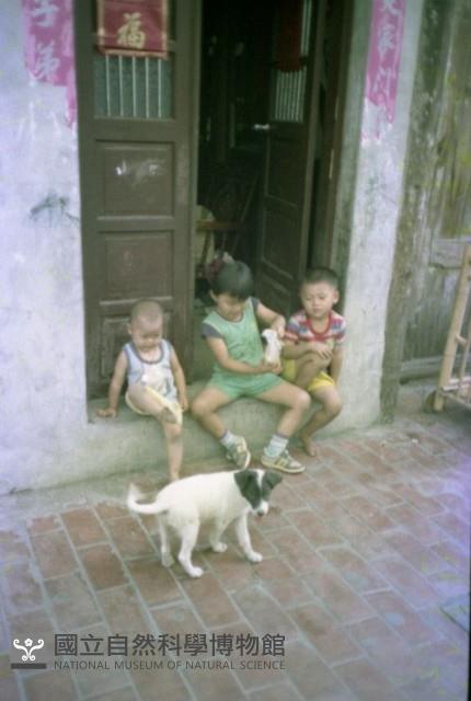 1950至2006年臺灣常民生活藏品圖，第1張