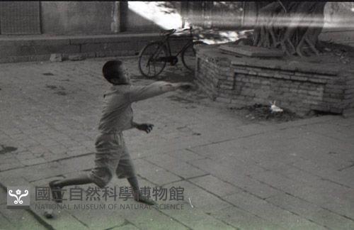 1950至2006年臺灣常民生活藏品圖，第1張