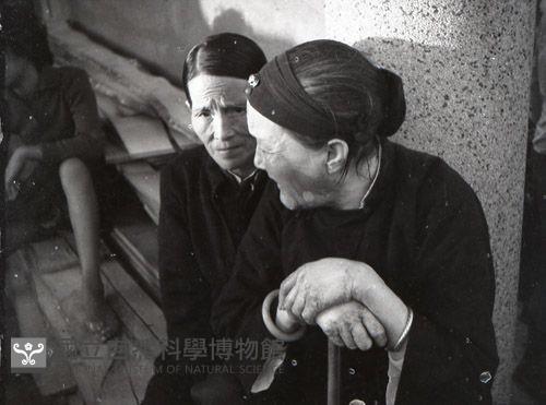 1950至2006年臺灣常民生活藏品圖，第1張