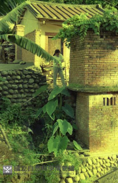 1950至2006年臺灣常民生活藏品圖，第1張