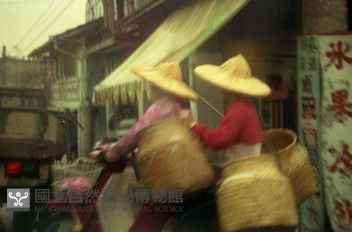 1950至2006年臺灣常民生活藏品圖，第1張
