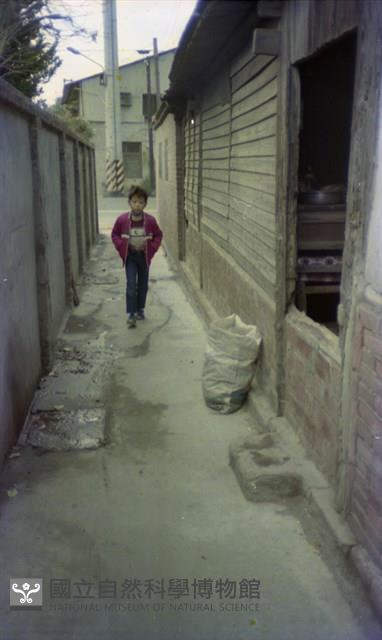 1950至2006年臺灣常民生活藏品圖，第1張